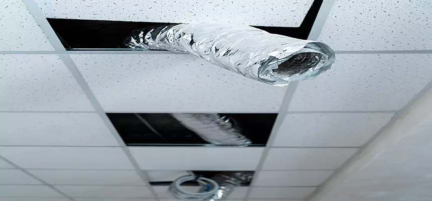 Affordable HVAC Sanitizing After Pest Removal in Frankfort