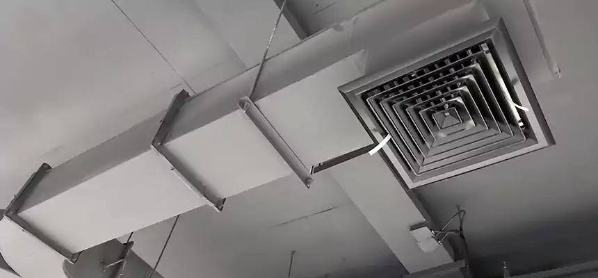 Restorative Allergy Relief Vent Cleaning – Coil, Blower & Housing Detail in Frankfort