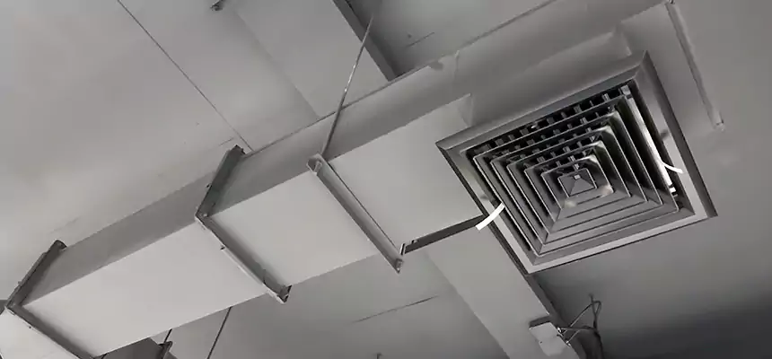 Our Rodent Droppings In Vents Services in Frankfort, KY