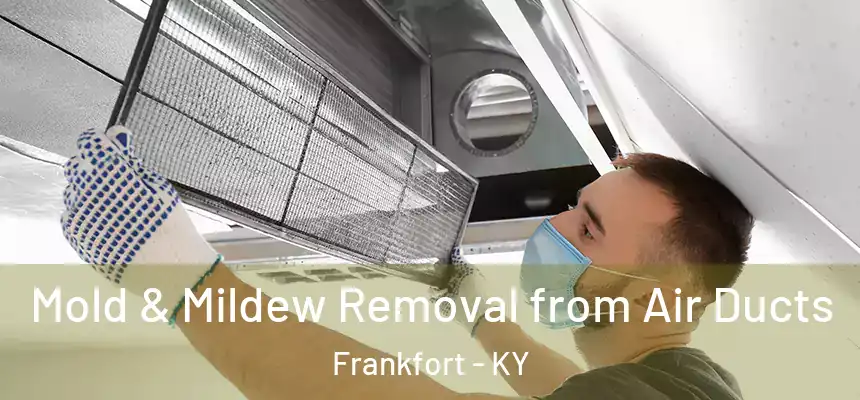  Mold & Mildew Removal from Air Ducts Frankfort - KY