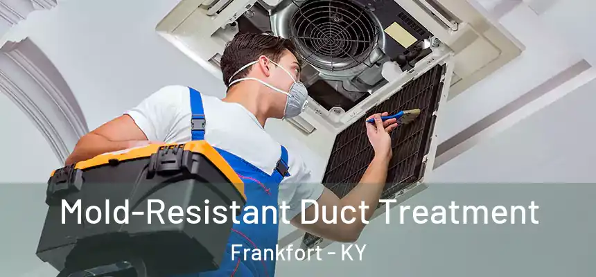  Mold-Resistant Duct Treatment Frankfort - KY