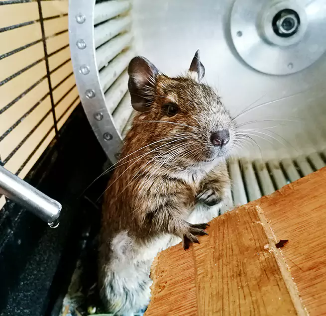 Why Homeowners & Businesses Trust Us Frankfort, KY?