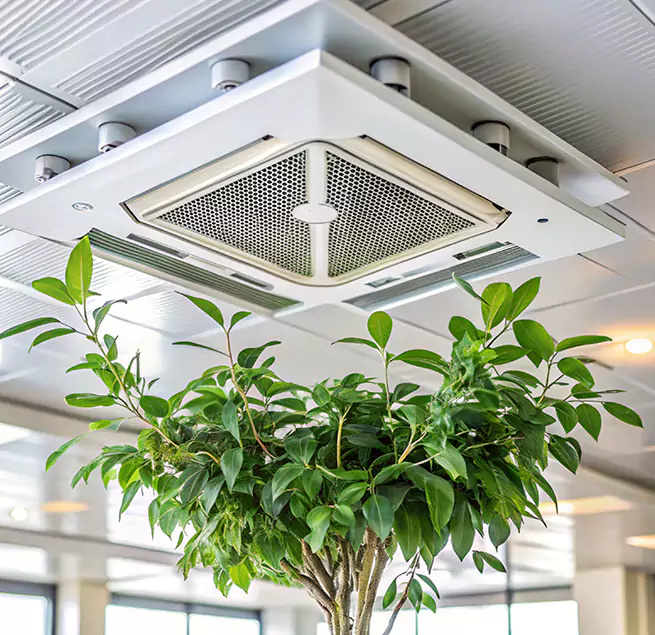 Why Homeowners & Businesses Trust Us in Frankfort, KY?